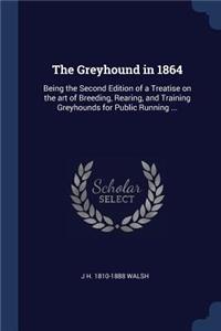 The Greyhound in 1864