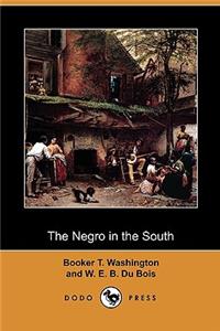 Negro in the South (Dodo Press)