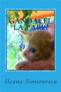 Gandacel La Paris: Aventurile Lui Gandacel