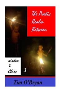 Poetic Realm Between Wisdom and Chaos