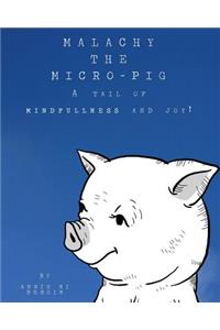 Malachy the Micro-pig