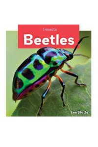 Beetles