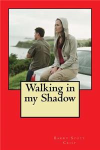 Walking in my Shadow