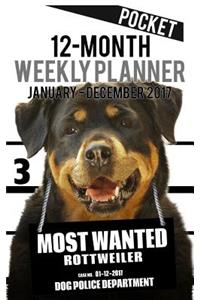 2017 Pocket Weekly Planner - Most Wanted Rottweiler