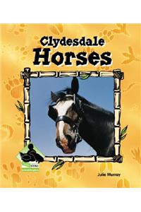 Clydesdale Horses