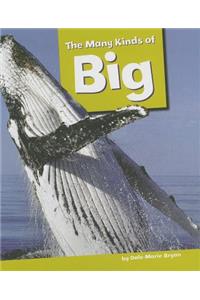 Many Kinds of Big