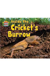Inside the Cricket's Burrow