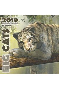 Big Cats 2019 Mini Wall Calendar (UK Edition)