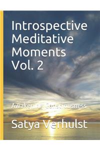 Introspective Meditative Moments Vol. 2