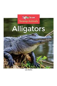 Alligators