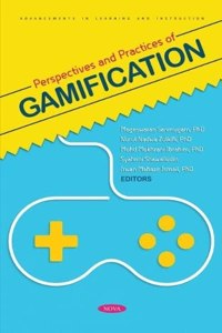 Perspectives and Practices of Gamification