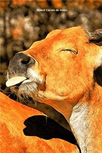 Boeuf Carnet de notes