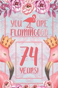 74th Birthday Journal