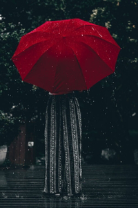 Lady Rain Lined NoteBook