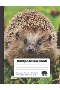 Curious Hedgehog - Composition Book