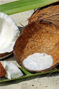 Yummy Fresh Cracked Coconut Journal