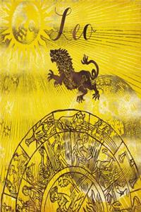 2019 Daily Planner Leo Symbol Astrology Wheel Zodiac Sign Horoscope 384 Pages