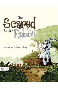 The Scared Little Rabbit