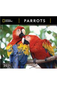 Cal 2021- National Geographic Parrots Wall
