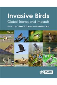 Invasive Birds