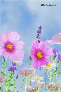 Wild Flowers