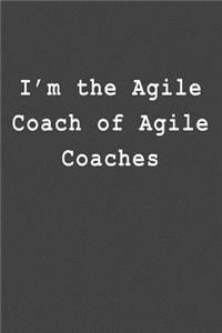 I'm the Agile Coach of Agile Coaches