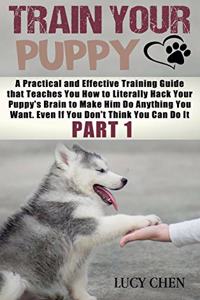 Train your Puppy