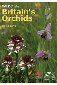 Britain`s Orchids