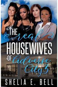 Real Housewives of Adverse City 3