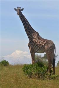 A Tall Giraffe in Kenya, Africa Journal