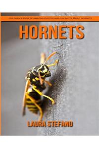 Hornets