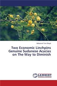 Two Economic Linchpins Genuine Sudanese Acacias on The Way to Diminish