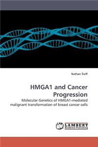 HMGA1 and Cancer Progression