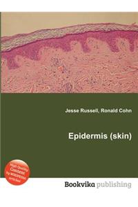 Epidermis (Skin)