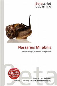 Nassarius Mirabilis