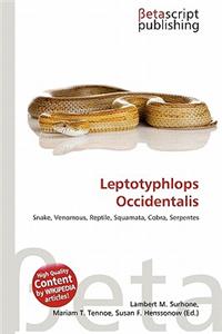 Leptotyphlops Occidentalis