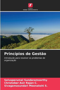 Princípios de Gestão