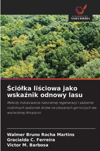 Ściólka liściowa jako wskaźnik odnowy lasu