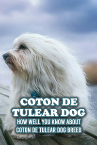 Coton De Tulear Dog