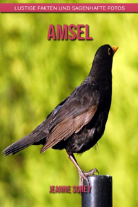 Amsel