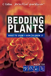 Bedding Plants