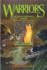 Dangerous Path