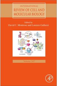 Cellular Nutrient Utilization and Cancer