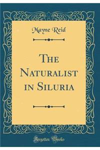The Naturalist in Siluria (Classic Reprint)