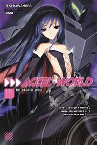 Accel World, Vol. 11 (Light Novel)