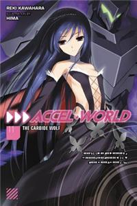 Accel World, Vol. 11 (Light Novel)