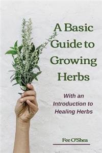 Basic Guide To Growing Herbs