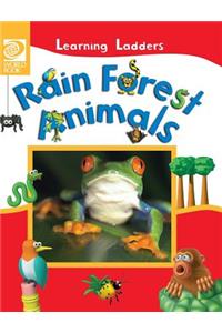 Rain Forest Animals