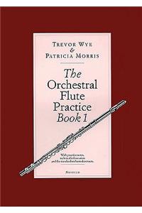 The Orchestral Flute Practice, Book 1