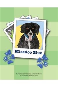 Micadoo Blue